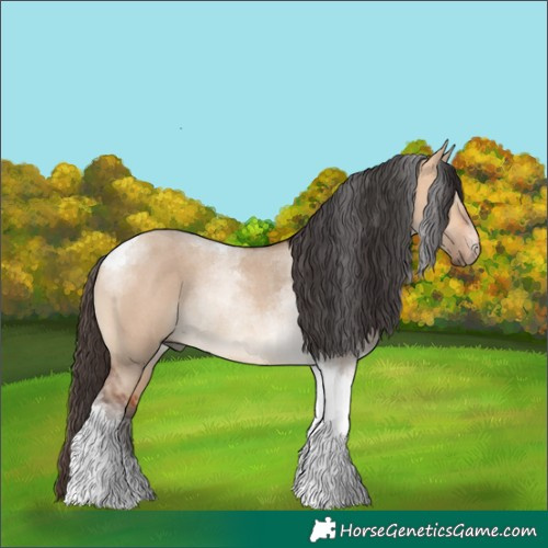 Horse Color:Bay Dun Tobiano Rabicano 