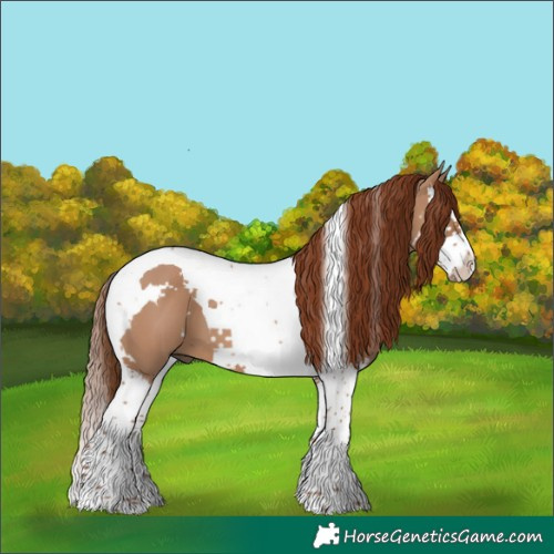 Horse Color:White Spotted Red Dun Splash Tobiano