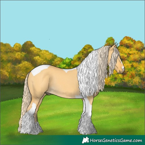 Horse Color:Palomino Dun Tobiano Rabicano 