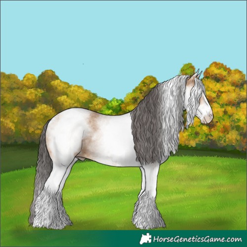 Horse Color:White Spotted Bay Dun Tobiano Rabicano 