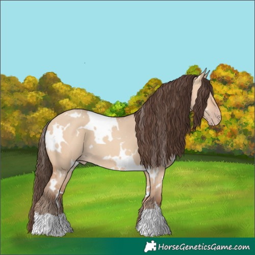 Horse Color:White Spotted Amber Champagne Dun 