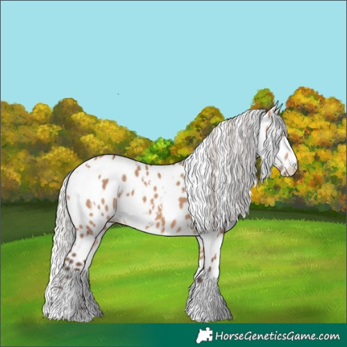 Horse Color:White Spotted Silver Bay Dun Leopard 
