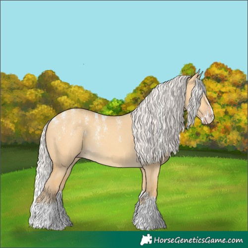 Horse Color:Powder White Silver Amber Cream Champagne Dun Splash Rabicano