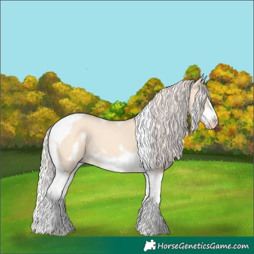 Horse Color:Silver Amber Champagne Dun Splash Tobiano Frame 