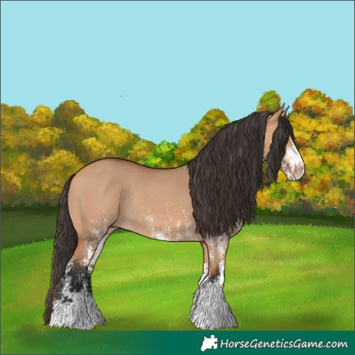 Horse Color:White Spotted Bay Dun Rabicano 