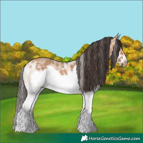 Horse Color:Powder White White Spotted Bay Dun Frame Rabicano