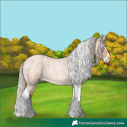 Horse Color:Silver Bay Roan Dun Splash Tobiano Rabicano