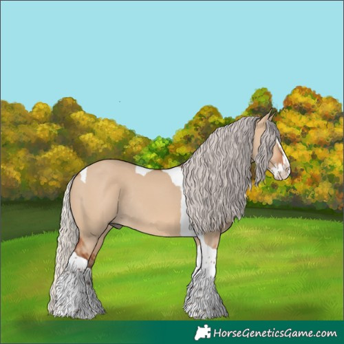Horse Color:Silver Bay Dun Splash Tobiano Rabicano