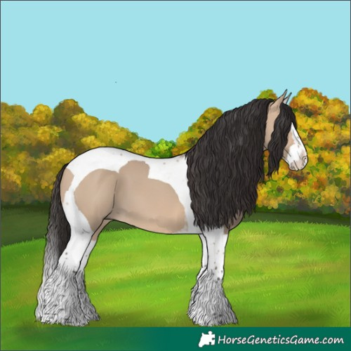 Horse Color:Bay Dun Splash Tobiano