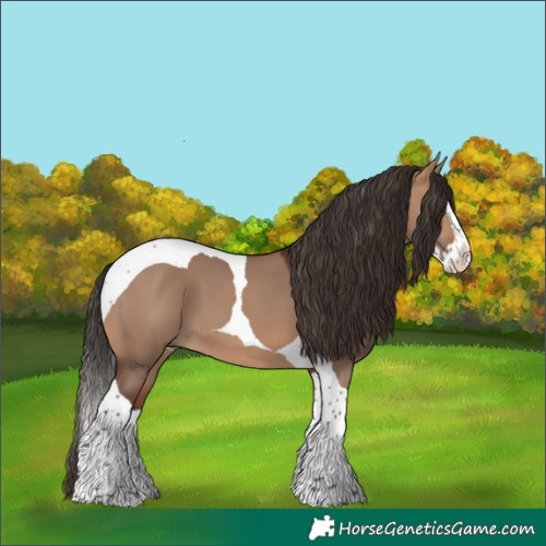 Horse Color:Bay Dun Splash Tobiano