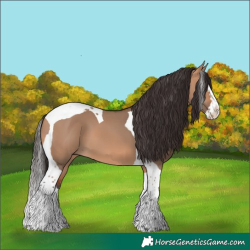 Horse Color:Bay Dun Splash Tobiano