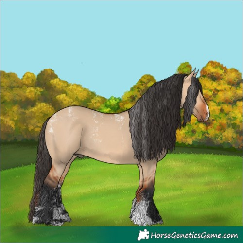 Horse Color:Powder White Bay Dun Rabicano 