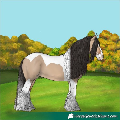 Horse Color:Bay Dun Splash Tobiano 