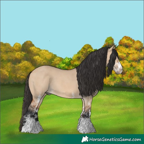 Horse Color:White Spotted Bay Dun Rabicano 