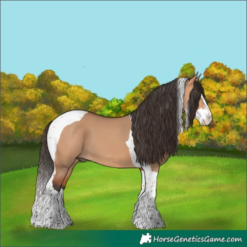 Horse Color:Bay Dun Splash Tobiano 