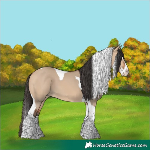 Horse Color:Bay Dun Splash Tobiano 