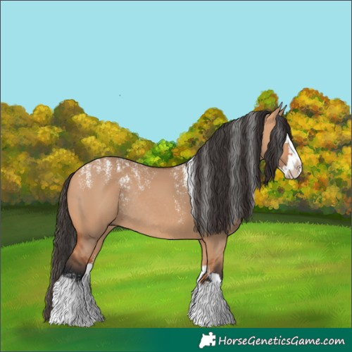 Horse Color:Powder White Bay Dun Splash Rabicano 