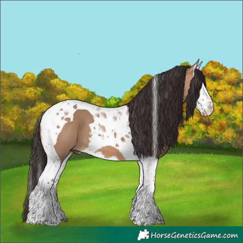 Horse Color:Bay Dun Splash Tobiano 