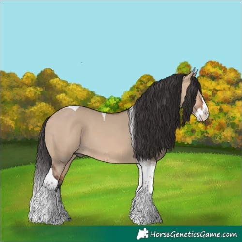 Horse Color:Bay Dun Splash Tobiano 