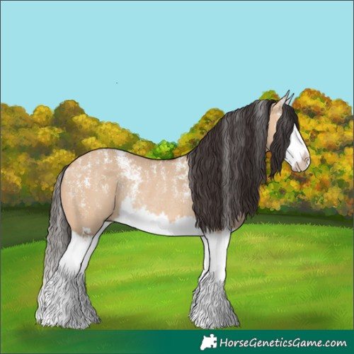 Horse Color:Powder White Bay Dun Splash Rabicano