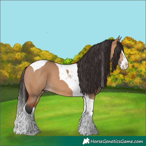 Horse Color:Bay Dun Splash Tobiano 