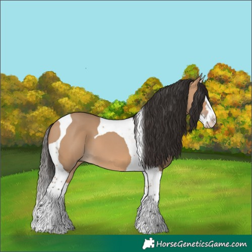 Horse Color:Bay Dun Splash Tobiano 