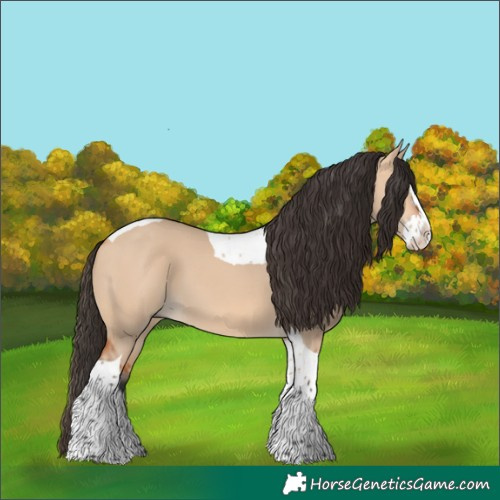 Horse Color:Bay Dun Splash Tobiano