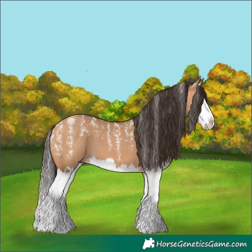 Horse Color:Powder White Bay Dun Splash