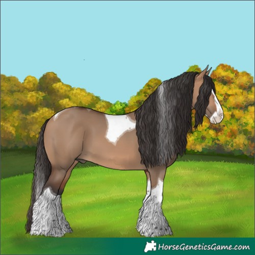 Horse Color:Bay Dun Splash Tobiano 