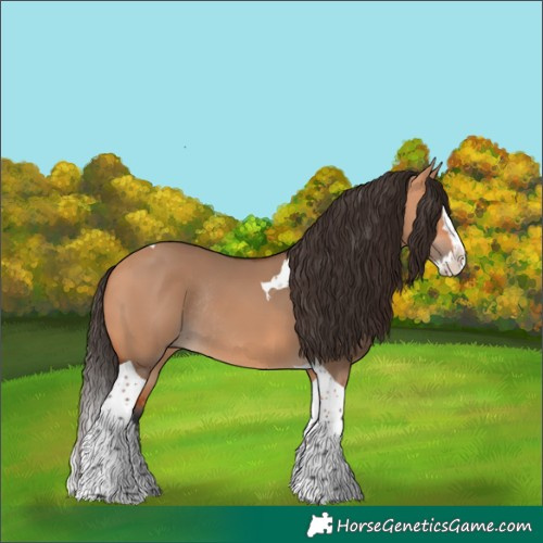 Horse Color:Bay Dun Splash Tobiano Rabicano