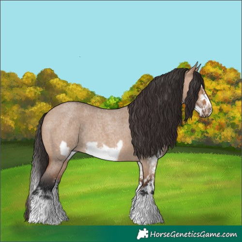 Horse Color:White Spotted Bay Roan Dun Splash Frame Rabicano