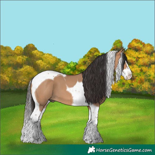 Horse Color:Bay Dun Splash Tobiano 