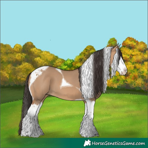 Horse Color:Bay Dun Splash Tobiano