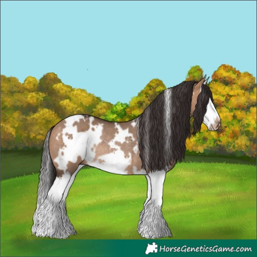 Horse Color:White Spotted Bay Dun Splash Frame Rabicano