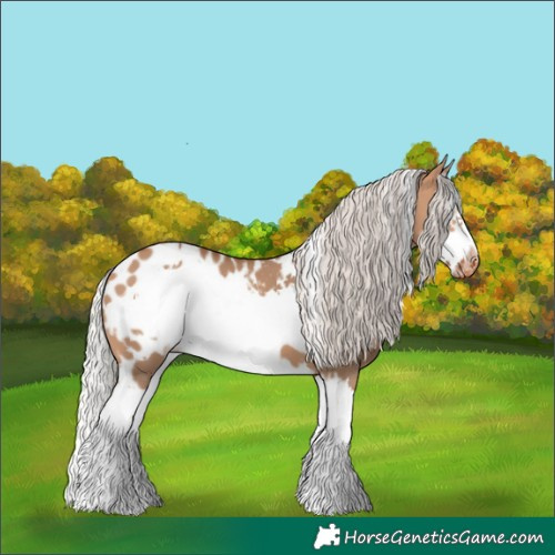 Horse Color:White Spotted Silver Bay Dun Splash Frame Blanket 