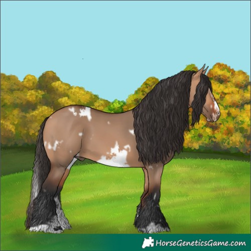 Horse Color:White Spotted Bay Dun Sabino Splash Frame
