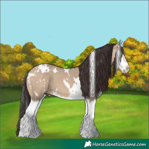 Horse Color:White Spotted Bay Dun Splash 
