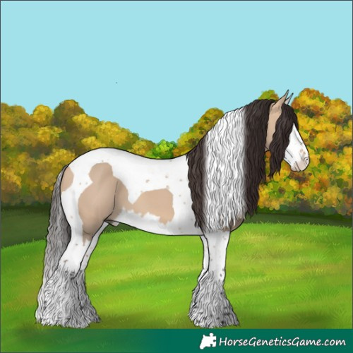 Horse Color:Bay Dun Splash Tobiano 