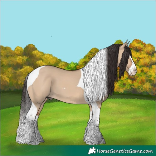 Horse Color:Bay Dun Splash Tobiano 