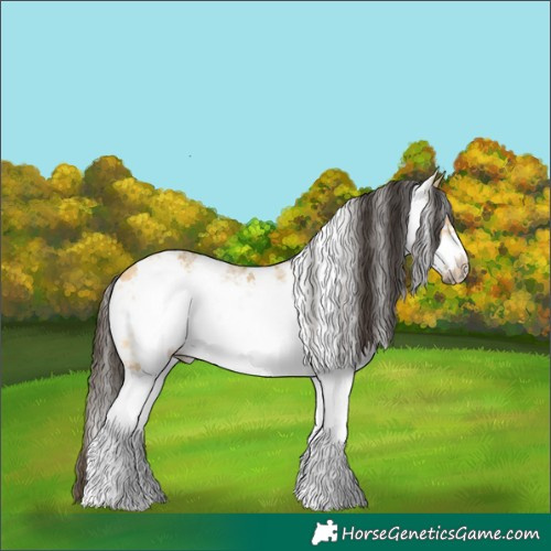 Horse Color:White Spotted Buckskin Dun Frame Rabicano
