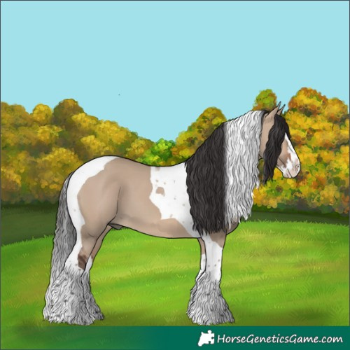 Horse Color:Brown Dun Splash Tobiano 