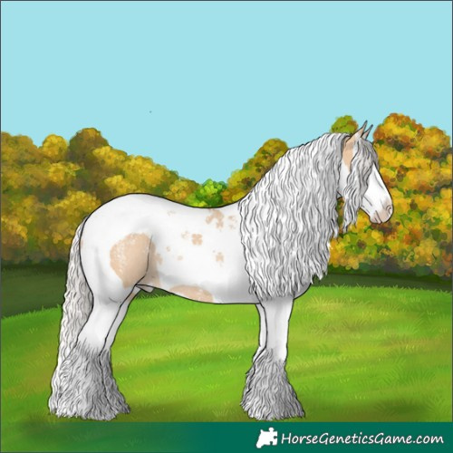 Horse Color:Powder White Silver Bay Dun Splash Tobiano Rabicano 