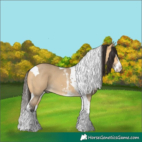 Horse Color:Buckskin Dun Sabino Splash Tobiano