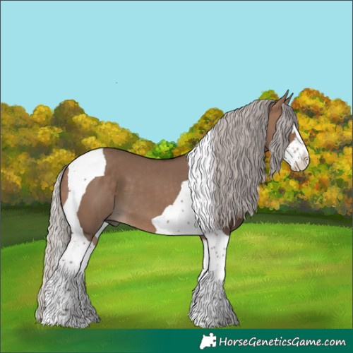 Horse Color:Silver Brown Dun Sabino Splash Tobiano