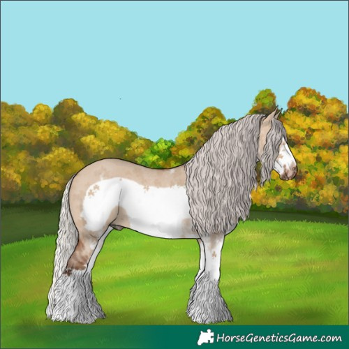 Horse Color:White Spotted Silver Brown Dun Splash Frame Rabicano