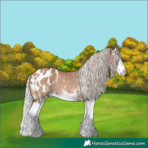 Horse Color:White Spotted Silver Brown Dun Splash Blanket Rabicano