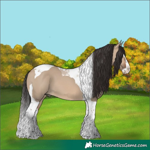 Horse Color:Brown Dun Splash Tobiano 