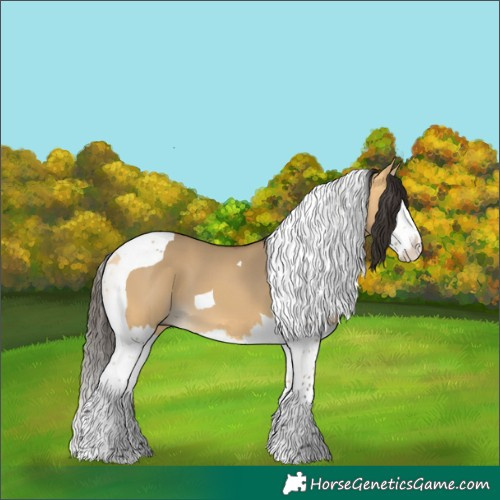 Horse Color:Buckskin Dun Splash Tobiano