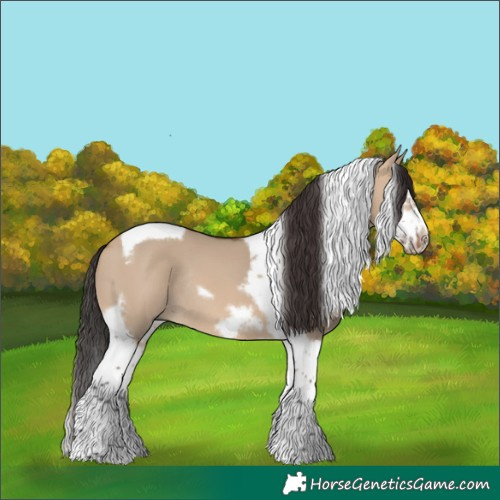 Horse Color:Bay Dun Splash Tobiano Frame Rabicano