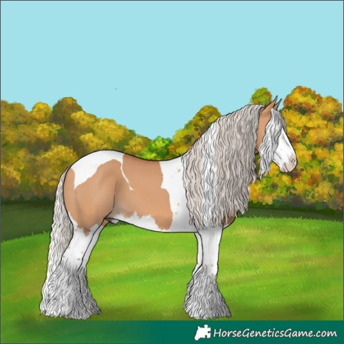 Horse Color:Silver Bay Dun Splash Tobiano 